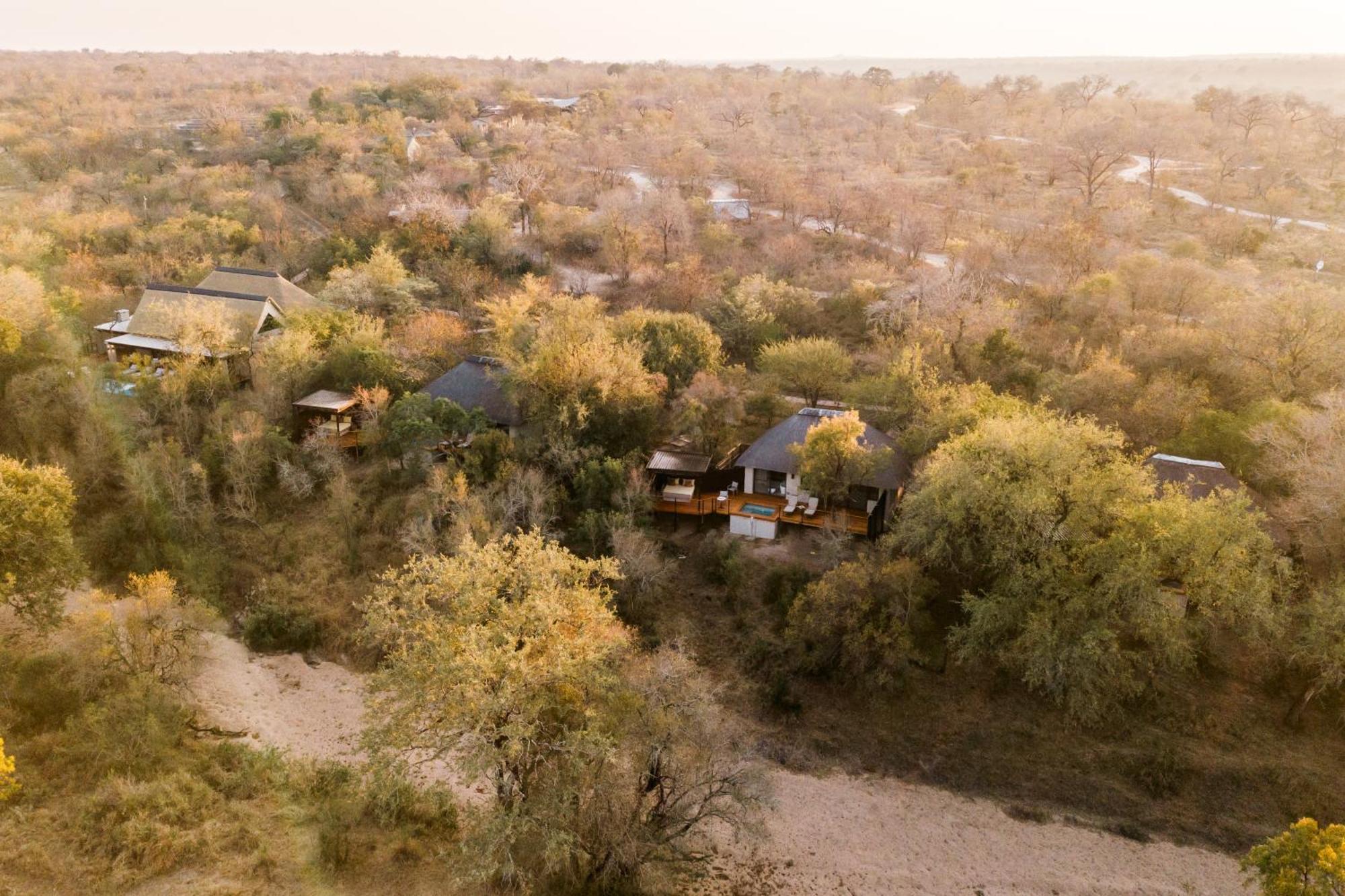 Thornybush Simbambili Lodge Réserve de gibier de Sabi Sabi Extérieur photo